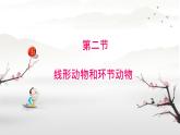 初中生物人教版八年級(jí)上冊(cè)第二節(jié) 線形動(dòng)物和環(huán)節(jié)動(dòng)物 課件