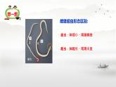 初中生物人教版八年級(jí)上冊(cè)第二節(jié) 線形動(dòng)物和環(huán)節(jié)動(dòng)物 課件