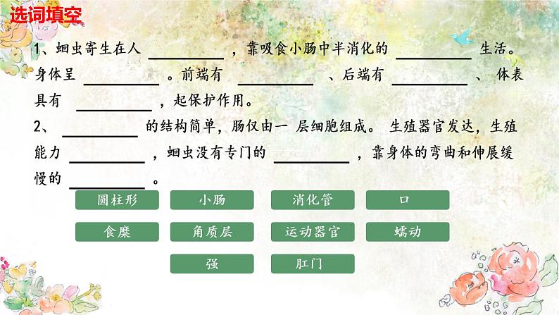 初中生物人教版八年级上册第二节 线形动物和环节动物 课件第6页