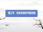 初中生物人教版八年级上册第三节   软体动物和节肢动物 课件
