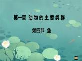 初中生物人教版八年级上册第四节   鱼 课件