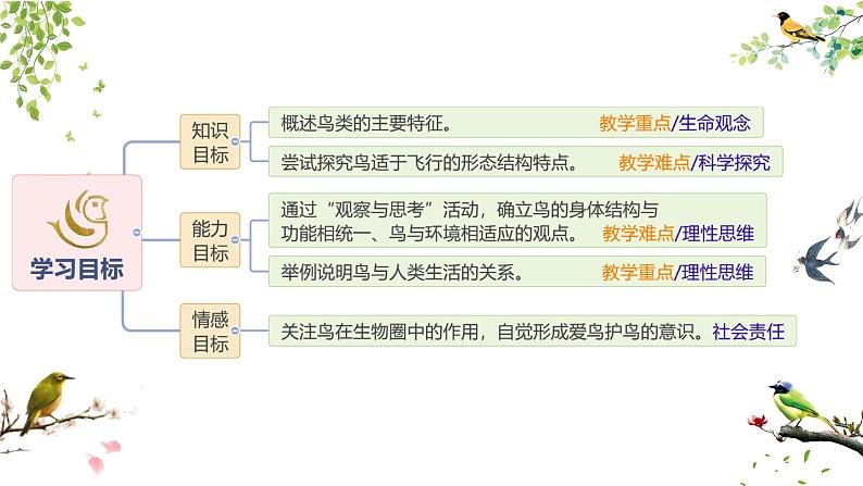 初中生物人教版八年级上册第六节   鸟  课件02