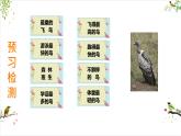 初中生物人教版八年级上册第六节   鸟  课件