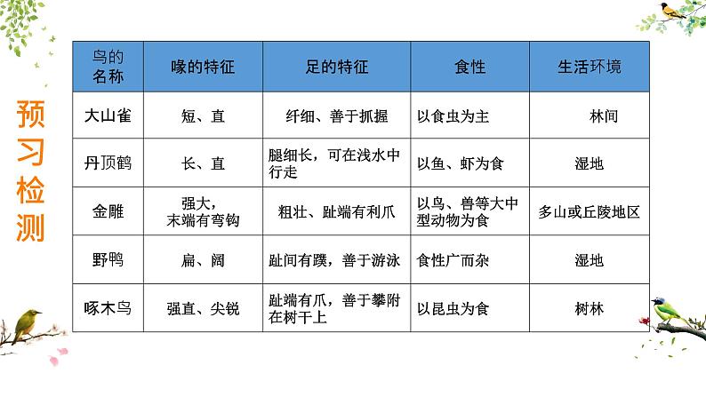 初中生物人教版八年级上册第六节   鸟  课件05