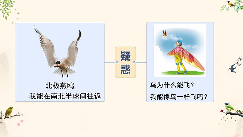 初中生物人教版八年级上册第六节   鸟  课件07