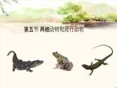 初中生物人教版八年级上册第五节 两栖动物和爬行动物  课件