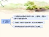 初中生物人教版八年级上册第五节 两栖动物和爬行动物  课件