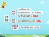 初中生物人教版八年级上册第七节   哺乳动物  课件