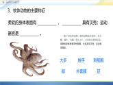 初中生物人教版八年级上册第三节   软体动物和节肢动物 课件