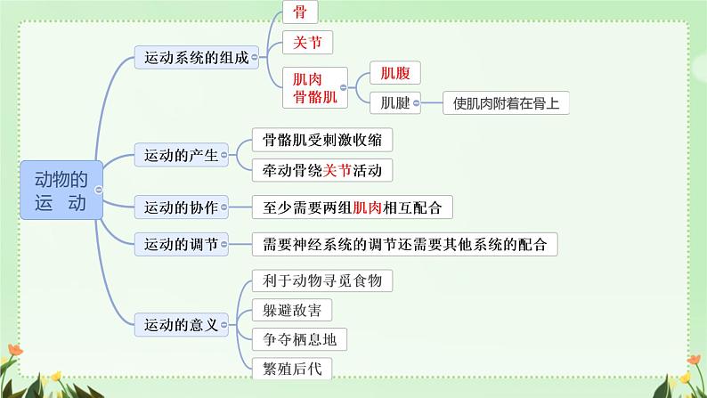 初中生物人教版八年级上册第二节 先天性行为和学习行为课件第2页