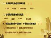 初中生物人教版八年级上册第二节 先天性行为和学习行为课件