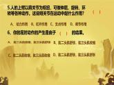 初中生物人教版八年级上册第二节 先天性行为和学习行为课件