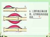 初中生物人教版八年级上册第二节 先天性行为和学习行为课件