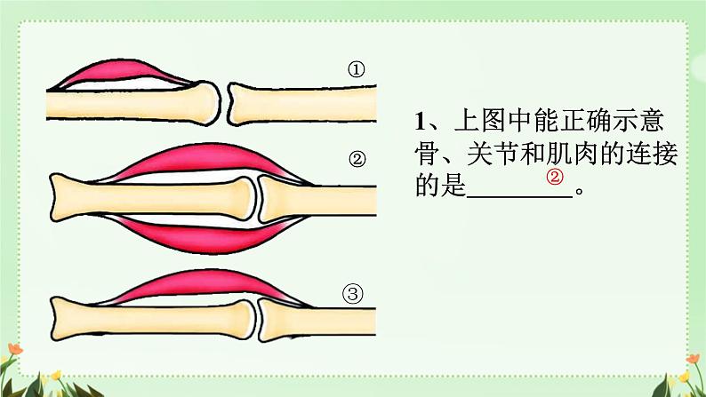 初中生物人教版八年级上册第二节 先天性行为和学习行为课件第5页