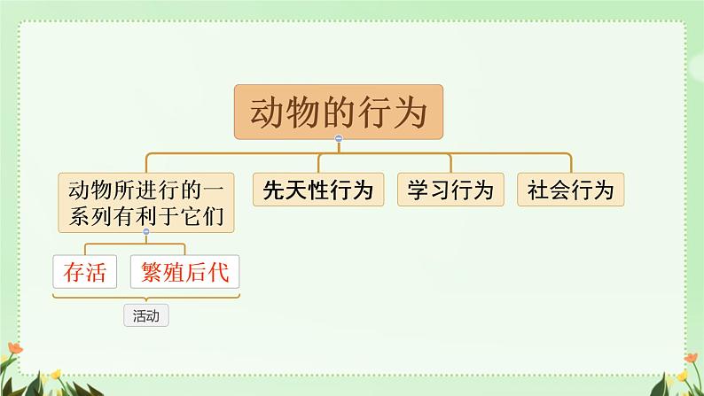 初中生物人教版八年级上册第二节 先天性行为和学习行为课件第6页