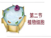 （人教版2024）七年级生物上册1.2.2《植物细胞》课件