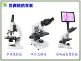 （人教版2024）七年级生物上册1.2.1《学习使用显微镜》课件
