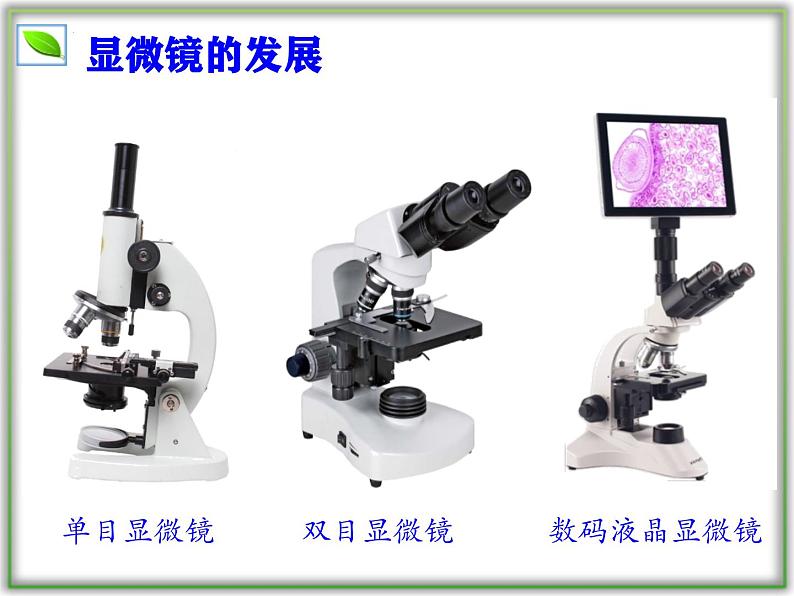 （人教版2024）七年级生物上册1.2.1《学习使用显微镜》课件03