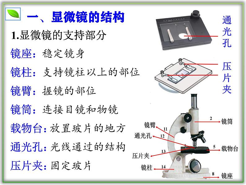 （人教版2024）七年级生物上册1.2.1《学习使用显微镜》课件05