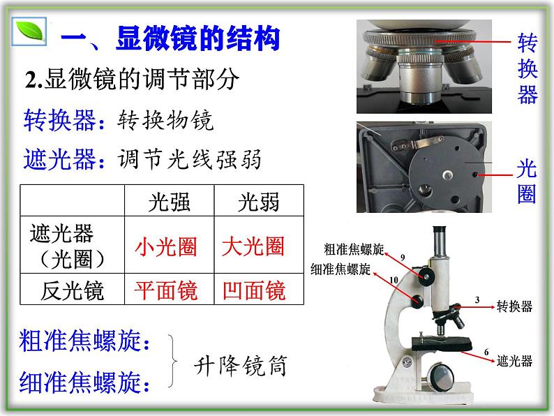 （人教版2024）七年级生物上册1.2.1《学习使用显微镜》课件06