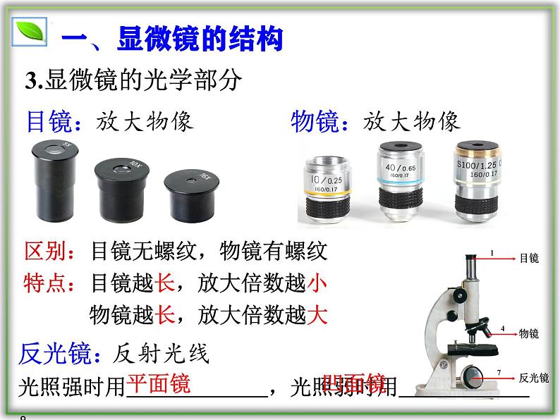 （人教版2024）七年级生物上册1.2.1《学习使用显微镜》课件07