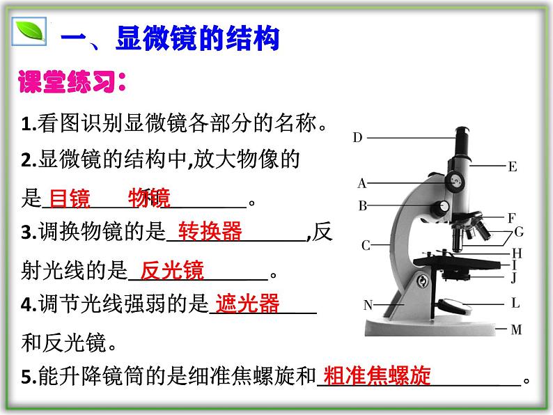 （人教版2024）七年级生物上册1.2.1《学习使用显微镜》课件08