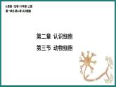 （人教版2024）七年级生物上册1.2.3《动物细胞》课件