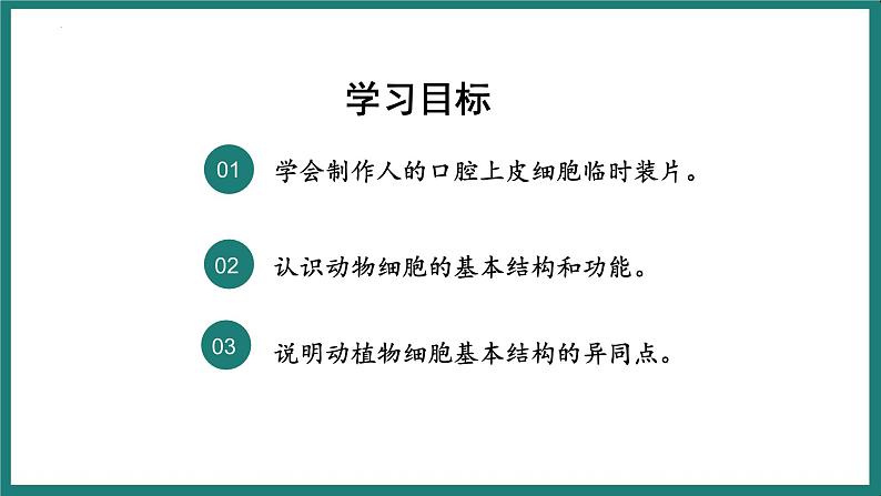 （人教版2024）七年级生物上册1.2.3《动物细胞》课件04