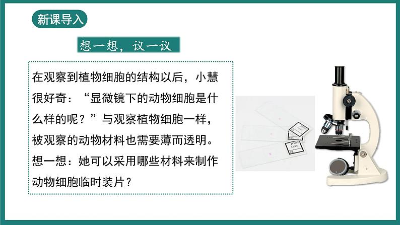 （人教版2024）七年级生物上册1.2.3《动物细胞》课件05