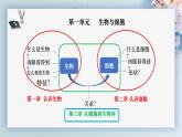 （人教版2024）七年级生物上册1.3.3《植物体的结构层次》课件