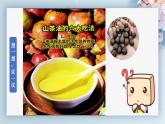 （人教版2024）七年级生物上册1.3.3《植物体的结构层次》课件
