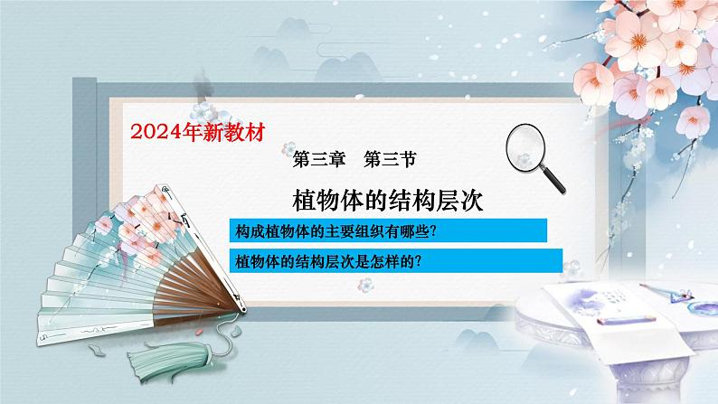 （人教版2024）七年级生物上册1.3.3《植物体的结构层次》课件03