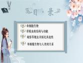 （人教版2024）七年级生物上册1.3.4《单细胞生物》课件