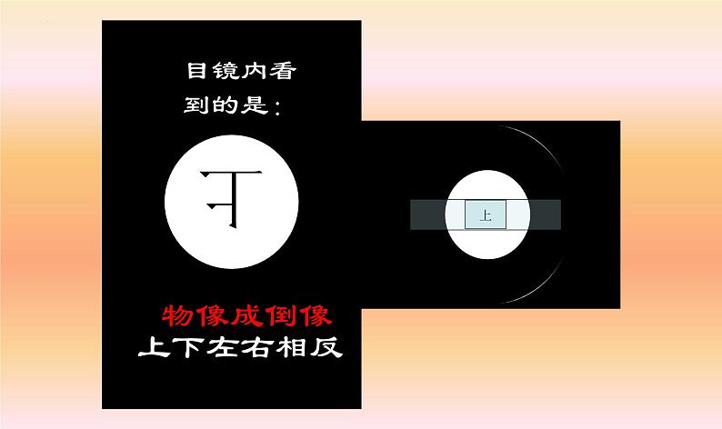 人教版生物七年级上册1.2.1《学习使用显微镜（实验室）》第一课时课件08
