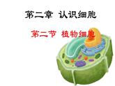 人教版生物七年级上册1.2.2《植物细胞》课件