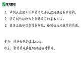 人教版生物七年级上册1.2.2《植物细胞》课件