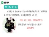 人教版生物七年级上册1.2.2《植物细胞》课件