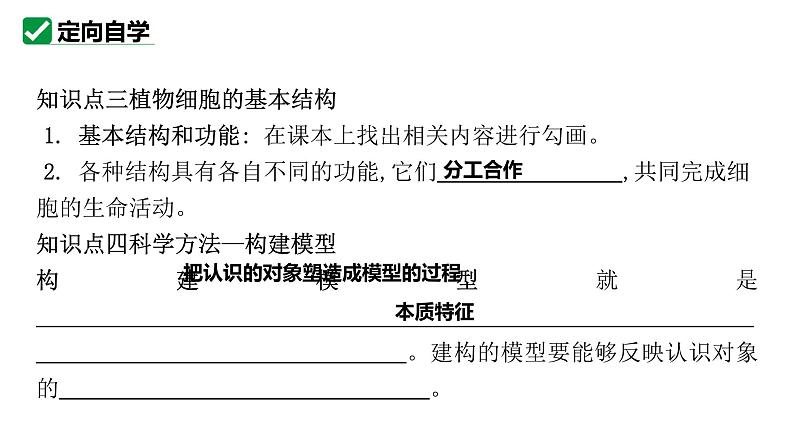 人教版生物七年级上册1.2.2《植物细胞》课件07