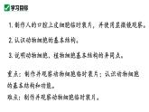 人教版生物七年级上册1.2.3《动物细胞》课件