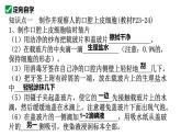 人教版生物七年级上册1.2.3《动物细胞》课件