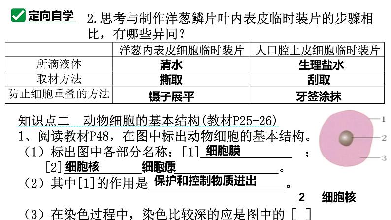 人教版生物七年级上册1.2.3《动物细胞》课件05