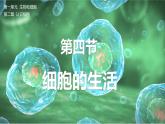 人教版生物七年级上册1.2.4《细胞的生活》教学课件
