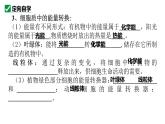 人教版生物七年级上册1.2.4《细胞的生活》教学课件