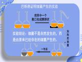 初中生物人教版八年级上册第二节   细菌 课件