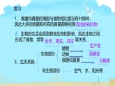 初中生物人教版八年级上册第四节   细菌和真菌在自然界中的作用 课件