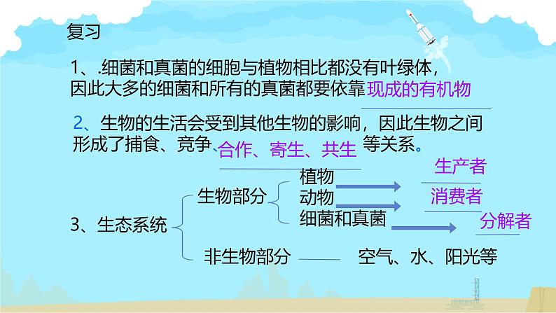 初中生物人教版八年级上册第四节   细菌和真菌在自然界中的作用 课件01