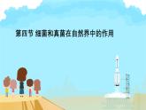 初中生物人教版八年级上册第四节   细菌和真菌在自然界中的作用 课件