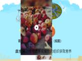 初中生物人教版八年级上册第四节   细菌和真菌在自然界中的作用 课件