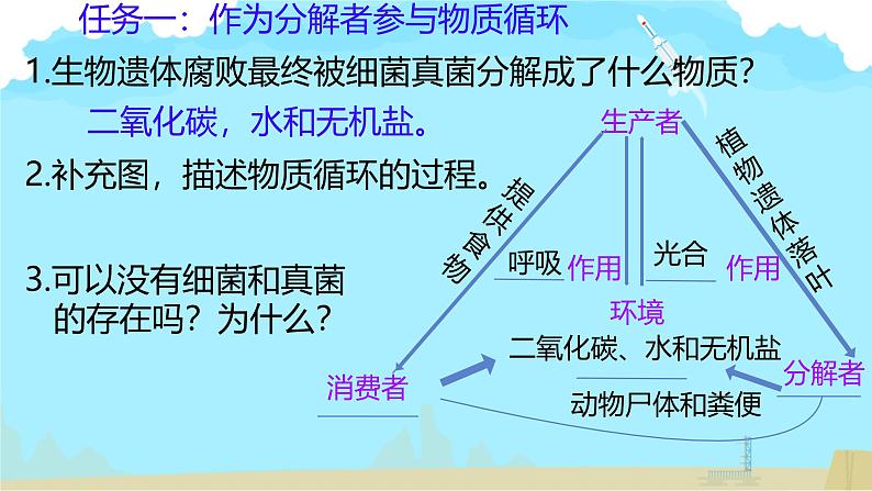 初中生物人教版八年级上册第四节   细菌和真菌在自然界中的作用 课件06