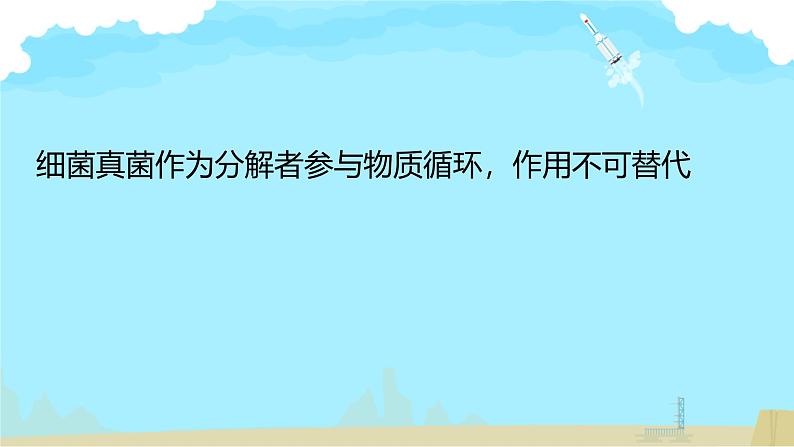 初中生物人教版八年级上册第四节   细菌和真菌在自然界中的作用 课件07